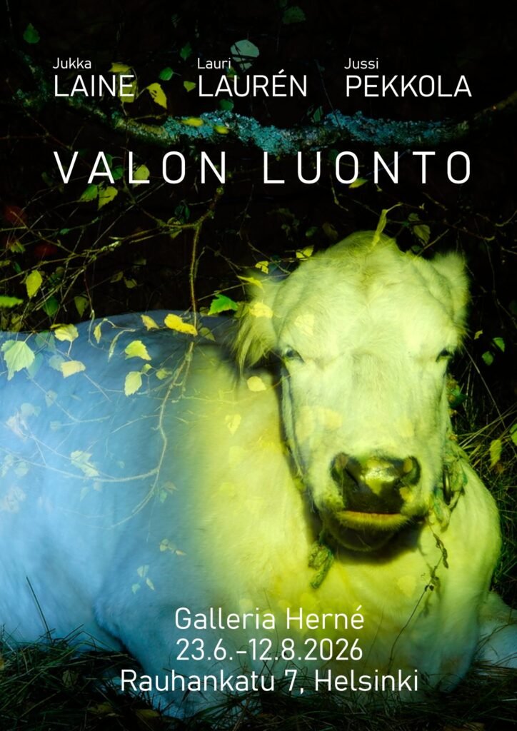 Näyttelymainos - Laine-Lauren-Pekkola - Pystykuva - PIENI KUVA